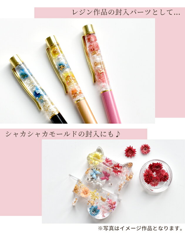 【全品P5倍 8/5限定】お花 の アソートセット 12種 ■ 花材 押し花 紫陽花 あじさい 封入 小分け パーツ ドライフラワー ブリザーブドフラワー ピアス イヤリング ジェル ネイル デコ パーツ ハーバリウム ガラスドーム レジン液 ハンドメイド 手作り ■の商品画像 3