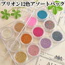 ブリオン 12色アソートセット 《 ネイルパーツ 封入パーツ レジン UVレジン レジン液 uv クラフト レジン液 アクセサリーパーツ 手芸 ネイル 》