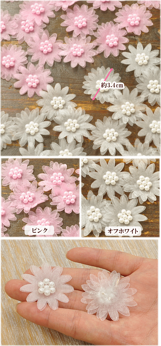 フラワーモチーフ　デイジー