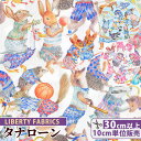 【11/1 最大1500円OFFクーポン】リバティプリント 国産 タナローン ハラバルー ■ LIBERTY FABRICS リバティ・ファブリックス アトラス・オブ・ドリーム 3631121 生地 布 動物 アニマル うさぎ はりねずみ ねずみ ハンドメイド 手芸 手作り ■