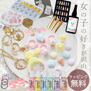 【P5倍〜5/8 13:59】夢みるプリンセス レジン セット ラッピング付 ゆうパケット送料無料 ■ キット 子供 キッズ 親子 スターターセット レジン液 ...