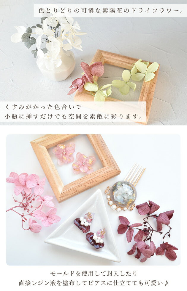 ドライフラワー あじさい 10色×約10枚セット ■ 紫陽花 茎 枝 ハーバリウム プリザ...