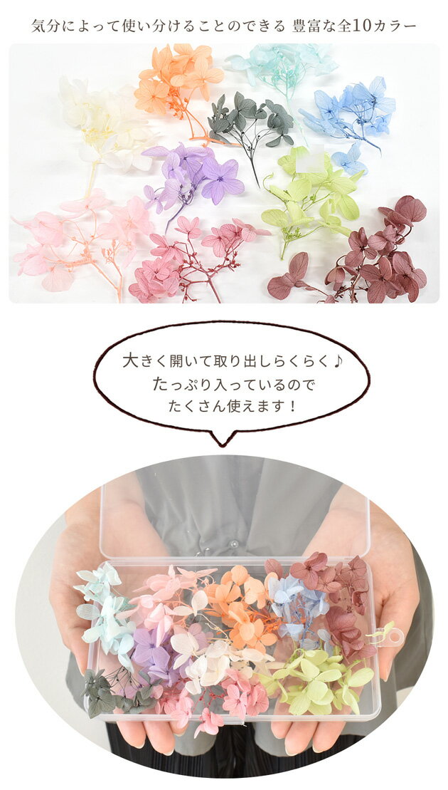 ドライフラワー あじさい 10色×約10枚セット ■ 紫陽花 茎 枝 ハーバリウム プリザ...