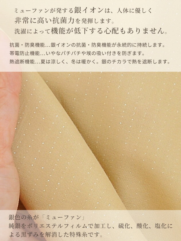 サンプル画像2