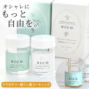 NICO フッ素 コーティング 剤 30g 全2種 スウェットバリア ジュエリー プロテクト ■ サフィックス 大容量 浸漬 金属アレルギー コーティング剤 コーティング液 変色 防止 安心 防錆 メタルコート シルバー アクセサリー ピアス 指輪 日本製 ■