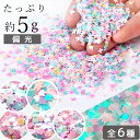 封入 パーツ オーロラ ホログラム 偏光 約5g 全6種 ■ ホログラム ゆめかわ カラフル レジン ネイルパーツ フレーク 小 ちいさい ミニ 素材 シャカシャカ シェイカー UV LED ジェル ネイル キーホルダー ハンドメイド 手芸 手作り ■