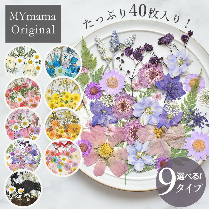 ◆新色追加◆ 押し花 セット 40枚入 全9種 ■ドライフラワー ネイル レジン ミックス 花 はな ...