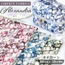 【予約販売】リバティプリント タナローン 生地 別注 国産 90％に縮小 アレクサンドラ ■ LIBERTY FABRICS リバティ・ファブリックス alexandra おしゃれ 布 宝石 ジュエリー ブラウス ワンピース バッグ コットン ハンドメイド 手芸 手作り MYmama ■