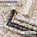 リバティプリント 別注 国産 つや消し ラミネート ムーン モス ■ LIBERTY FABRICS リバティ ファブリックス 生地 ムーンモス 布 ビニコ ビニールコーティング 8883225 花柄 フラワー ハンドメイド 手芸 手作り ■