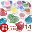 【クーポン配布中】封入 パーツ グリッター 14色 セット 送料無料 1000円ポッキリ カラグリ ■ ラメ キラキラ パウダー 粉 レジン UVレジン ネイル...