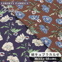 【クーポン配布中】 リバティプリント 国産 綿キュプラカルゼ ポワレ ■ LIBERTY FABRICS リバティ・ファブリックス Poiret 3330109...