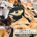 シーチング インクジェットプリント 生地 フェイバリット ドッグズ ■ KOMU STRADA Favorite Dogs 犬 デジタルプリント いぬ イヌ 写真 実写 リアル バッグ 巾着 袋 ポーチ 小物 エプロン 布 綿 コットン 100% 国産 日本製 ハンドメイド 手芸 手作り 商用利用可 eki10 ■