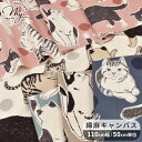 綿麻 キャンバス 生地 Big 猫 ■ ねこ ネコ cat 動物 アニマル ドット 水玉 くすみカラー 大柄 可愛い おしゃれ かわいい 手書き風 綿 コットン 麻 リネン 布 バッグ ポーチ 小物 インテリア エプロン 国産 日本製 こばやし ハンドメイド 手芸 手作り 商用利用可 eki10 ■