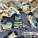 綿麻 キャンバス 生地 Art CAT 猫 ボーダー 柄 ■ KOKKA コッカ ネコ ねこ 手書き風 布 綿 コットン 麻 リネン 国産 日本製 かわいい 可愛い おしゃれ ワンピース ハンドメイド 手芸 手作り 商用利用可 eki10 ■