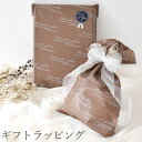 【先着150円OFFクーポン】ラッピング プレゼント用 ■ ラッピング袋 ギフト 贈り物 お祝い 誕生日 記念日 包装 有料 ありがとう クリスマス X'mas...