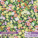 【8/10限定 全品P5倍】リバティプリント 国産 タナローン ナタリー ■ LIBERTY FABRICS リバティ・ファブリックス 3333057 生地 布 花柄 フラワー ハンドメイド 手芸 手作り ■
