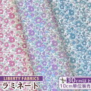 リバティプリント 別注 国産 つや消し ラミネート ベッツィ アン 《 LIBERTY FABRICS リバティ ファブリックス 生地 布 ビニールコーティング 3638020 花柄 フラワー ハンドメイド 手芸 手作り 》