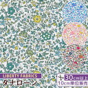 リバティプリント 国産 タナローン ケイティ アンド ミリー エターナルコレクション 《 LIBERTY FABRICS リバティ ファブリックス 2022 3633177 生地 布 花柄 小花 ハンドメイド 手芸 手作り 》