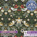 リバティプリント 国産 タナローン ストロベリー・シーフ エターナルコレクション ■ LIBERTY FABRICS リバティ・ファブリックス 2022 363...