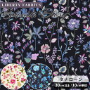 リバティプリント 生地 国産 タナローン ボタニストズ ダイアリー 2020 AW PRIVATE VIEW Eastern Treasures ■ LIBERTY FABRICS リバティ ファブリックス プライベート ビュー イースタン トレジャー 36302147 布 花柄 フラワー 手芸 手作り ■