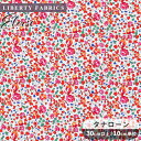 リバティプリント 生地 国産 タナローン エロイーズ ■ LIBERTY FABRICS リバティ・ファブリックス エターナルコレクション 3635272 布 花柄 フラワー 小花 ハンドメイド 手芸 手作り ■(3)