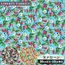 깩˼MYmamaʥ磻ޥޡˤ㤨֥Хƥץ   ʥ եա٥꡼ 2019 AW English Orchard Collection  LIBERTY FABRICS Хƥե֥å 󥰥å塦㡼ɡ쥯 30109   ե ϥɥᥤ   פβǤʤ363ߤˤʤޤ