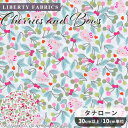 リバティプリント 国産 タナローン チェリーズ・アンド・ボウズ 2024 SS Hello Kitty 50th Anniversary Collection ■ LIBERTY FABRICS リバティ・ファブリックス ハローキティ アニバーサリーコレクション 33495 生地 布 キティ キャラクター 可愛い ■