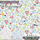 リバティプリント 国産 タナローン プレイグラウンド 2024 SS Hello Kitty 50th Anniversary Collection ■ LIBERTY FABRICS リバティ ファブリックス ハローキティ アニバーサリーコレクション 33498 生地 布 花柄 キティ キャラクター 可愛い キッズ ■