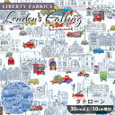 リバティプリント 輸入 イタリア製 タナローン ロンドンズ・コーリング 2024 SS Wildsmith's Wonderful World ■ LIBERT...