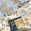 40 ブロード 生地 リス と ふくろう の 森 ■ 花柄 フラワー 果実 りす フクロウ アニマル 可愛い 綿 コットン シャツ ブラウス 洋服 エプロン ランチョンマット インテリア 布 国産 ハンドメイド 手芸 手作り 商用利用可 cig51 ■