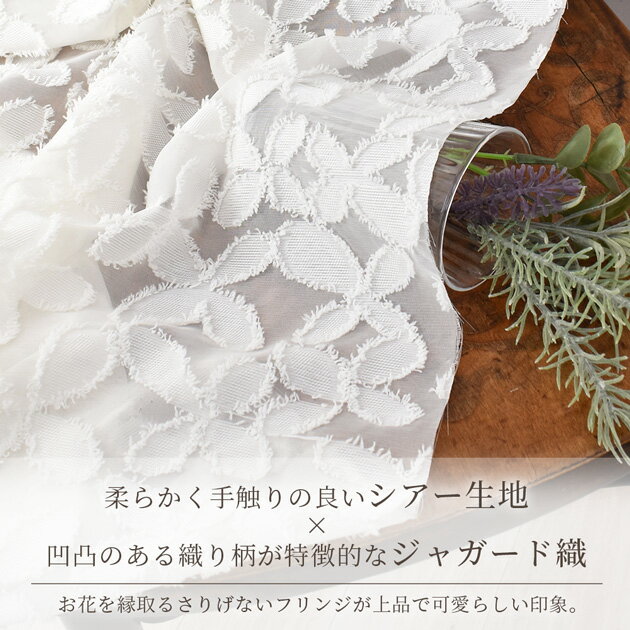 サンプル画像2