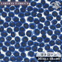 リバティプリント 国産 ザンジー・サンビーム 2025 エターナルコレクション タナローン 生地 ■ LIBERTY FABRICS リバティ・ファブリックス 3633151 布 花柄 フラワー ハンドメイド 手芸 手作り ■