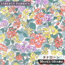 ◆期間限定30%OFF◆ リバティプリント イタリア製 ヘッジロウ・ランブル 2024 SS THE LIBERTY KALEIDOSCOPE タナローン 生地 輸入 ■ LIBERTY FABRICS リバティ・ファブリックス ザ・リバティ・カレイドスコープ 3634106 布 花柄 フラワー ハンドメイド 手芸 手作り ■