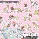 リバティプリント イタリア製 ウィロビー・ミューズ 2025 SS Organic Tana Lawn Vol.3 オーガニック タナローン 生地 輸入 ■ L...