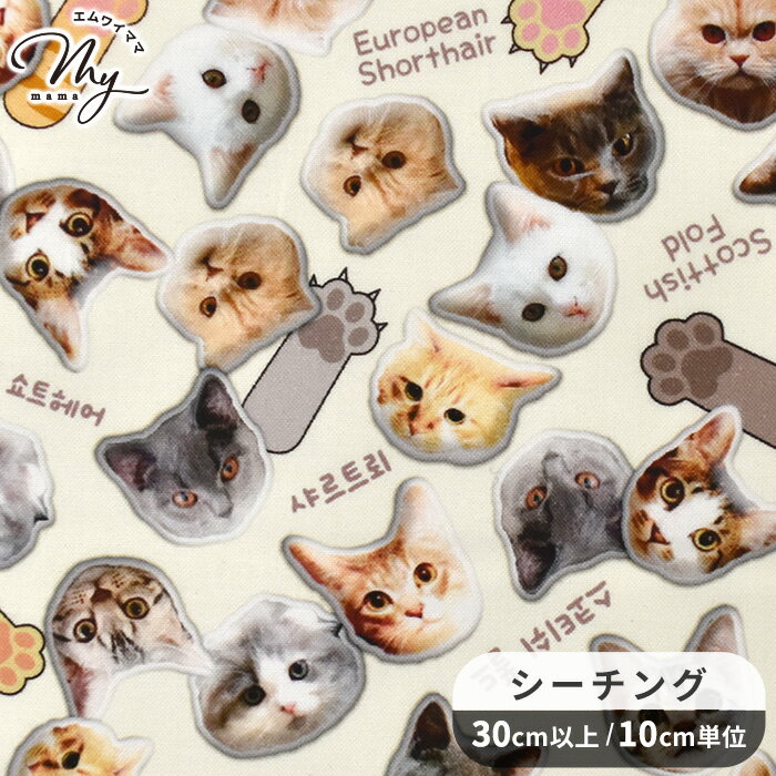 シーチング 生地 シャカにゃん インクジェット デジタル プリント ■ KOMUSTRADA 猫 ねこ ネコ 肉球 動物 アニマル ロゴ 写真 綿 コットン 布 バッグ ポーチ シャツ 洋服 インテリア 雑貨 ハンドメイド 手芸 手作り 商用利用可 eki10 ■