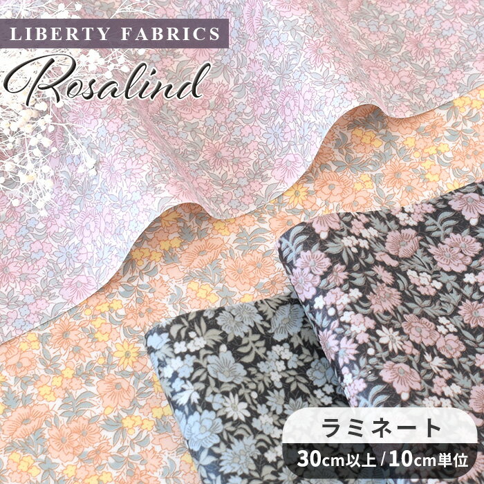 リバティプリント 別注 国産 つや消し ラミネート ロザリンド ■ LIBERTY FABRICS リバティ・ファブリックス 生地 Rosalind 布 ビニコ ビニールコーティング 3339013 花柄 小花 フラワー ハンドメイド 手芸 手作り ■