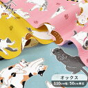 オックス 生地 へそ天 にゃんこ ■ のんびり ANIMALS ねこ 猫柄 猫好き ヘソ天 アニマルズ オックス生地 肉球 可愛い 癒やし リラックス コットン 100% バッグ ポーチ ハンドメイド 手芸 手作り 入園 入学 商用利用可 eki10 ■