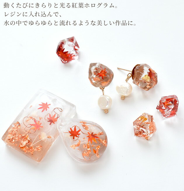 紅葉 ホログラム 封入 パーツ 1ケース レッド 赤 ■ 秋 秋モチーフ 封入パーツ レジ...