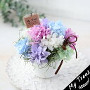 あじさいポット プリザーブドフラワー お祝い フラワーギフト 結婚記念日 紫陽花 アジサイバスケット ギフト フェミニンデコ 花雑貨 花 花ギフト 結婚祝 新築...