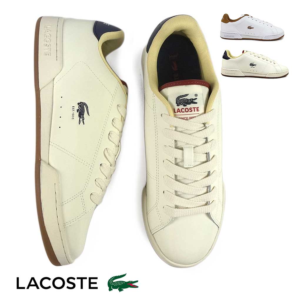 饳  ˡ   ʥӡ å 225 SMA 塼 50SMA0051 50SMA0052 LACOSTE CARNABY CU...