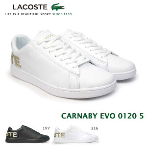 ڤȥGW3%OFFݥۥ饳  ˡ ʥӡ  0120 5 SM00860 쥶 ȥ塼 ɥ쥿 LACOSTE CARNABY EVO