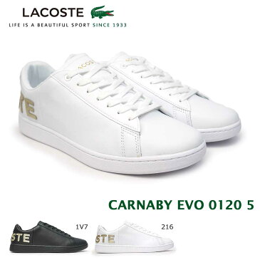 ラコステ メンズ スニーカー カーナビー エボ 0120 5 SM00860 レザー コートシューズ ゴールドレタリング LACOSTE CARNABY EVO