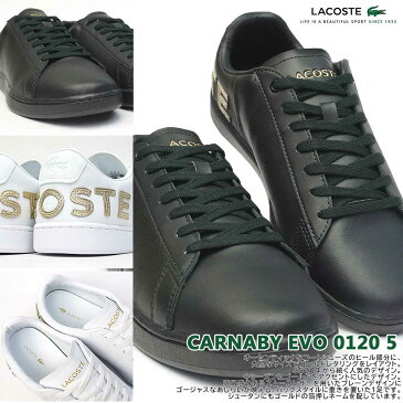 ラコステ メンズ スニーカー カーナビー エボ 0120 5 SM00860 レザー コートシューズ ゴールドレタリング LACOSTE CARNABY EVO