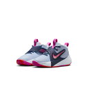 ナイキ キッズ スニーカー チームハッスルD12PS HF6280 005 運動靴 バスケットシューズ 子ども NIKE TEAM HUSTLE D 12 GS