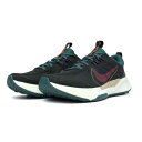 iCL Xj[J[ Y Wjp[gC2 DM0822 006  gC jO NIKE JUNIPER TRAIL 2 NN