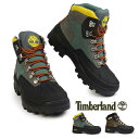 ティンバーランド 防水 ビブラム ユーロハイカー WP 本革 ミッド ハイカー 軽量 ハイキング ブーツ メンズ Timberland VIRBAM EURO IKER WP