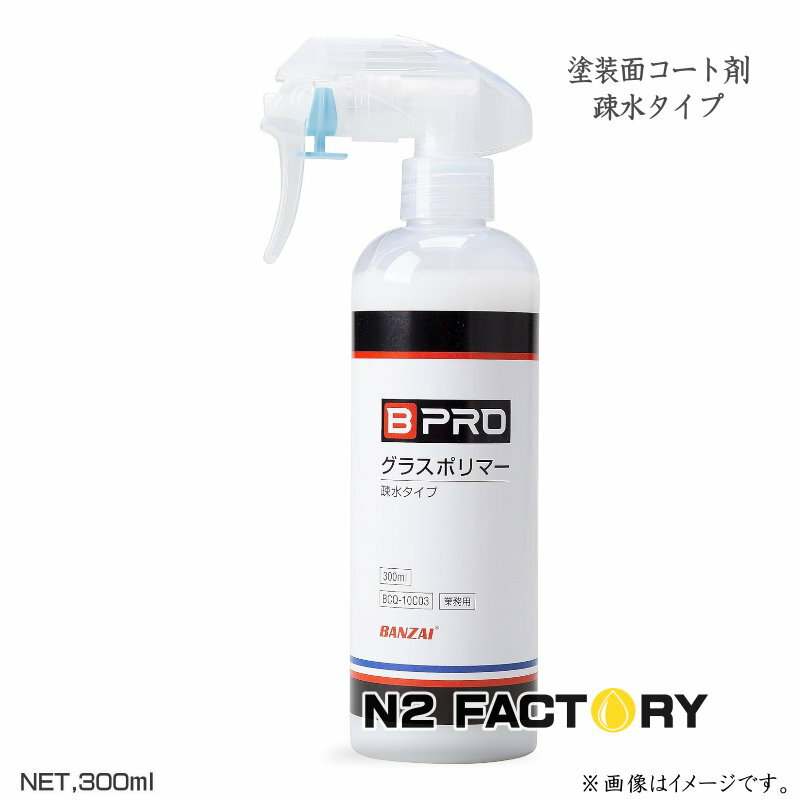 BPRO�����饹�ݥ�ޡ����¿奿���ס�300ml���ӡ��ץ��δʰץ����ƥ��󥰺ޡ����女���Ⱥ�
