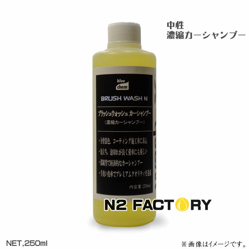 ブラッシュウォッシュ（ドイツ製カーシャンプー） 250ML　オススメは400倍〜！（沖縄県発送不可）washmaxx BRUSH WASH N−中性高濃縮カーシャンプー