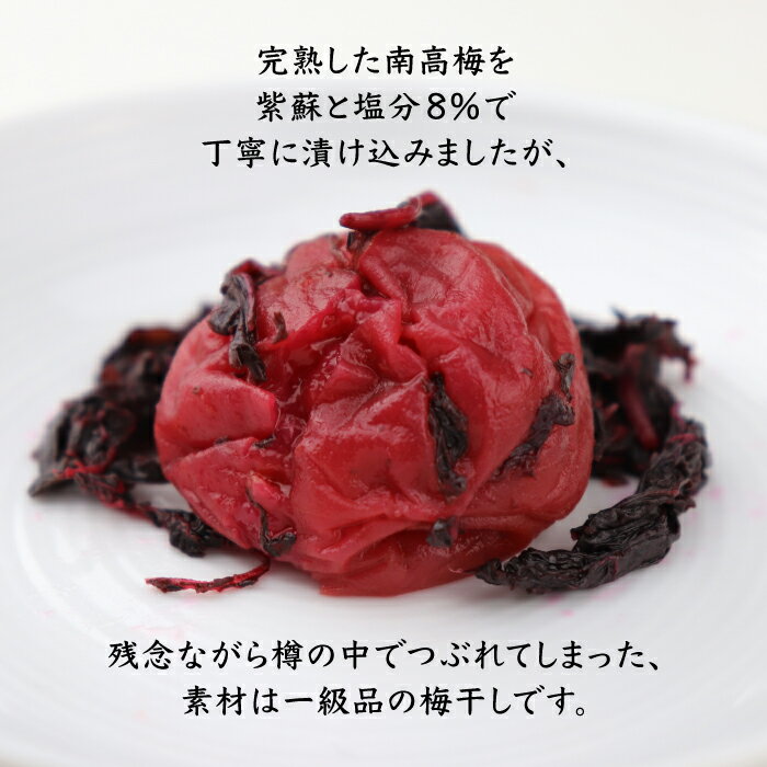 紀州産南高梅「つぶれ梅　しそ梅」。自社農園で収穫した　梅の実を漬け込み、樽の中で形が変わったり手作業中に皮がむけてしまった梅です。贈答用とお味は同じです。　【ブラックフライデー 10%OFFクーポン発行中】紫蘇の葉入　梅干し 送料無料 つぶれ梅　670g×2個（1,340g） 約塩分8％　国産紫蘇の風味を大切にした　しそ梅　お弁当・おにぎり・梅うどん・焼酎の梅割りにも　おすすめ【しそ漬け梅】【梅干し】【長生き屋商店】【自宅用】