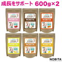 NOBITA ソイプロテイン 600g×2袋 ノビタ ジュニア用 ソイプロテイン FD-0002 身長を伸ばしやすくする栄養素 タンパク質 アルギニン配合/成長ホルモン/成長サポート/カルシウム/鉄/ビタミンC/マグネシウム/子供用プロテイン/栄養士監修/ノビタ(4)